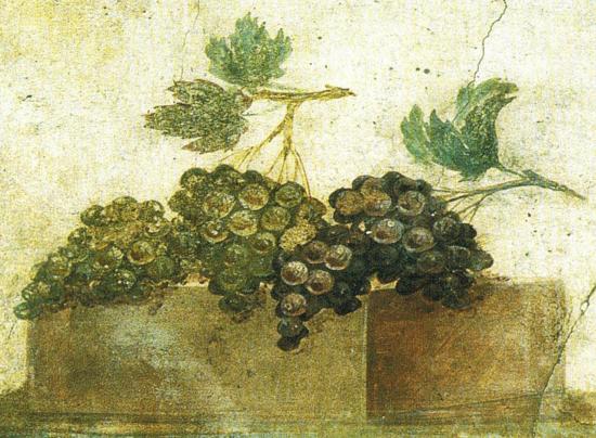 I vini dell'antica Grecia
